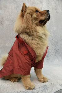 Doggie Jacket Dogwear The Eight Senses® Red S 